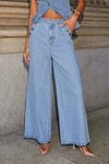 Denim Sleeveless Vest and Wide-Leg Pants Set